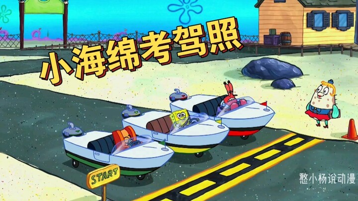 Little Sponge finally gets praised for passing his driver’s test, while Old Crab and Old Pissed can’