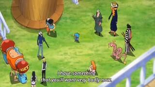 Law Regret Why Did He Alliance With Luffy 🤣🥹🥺