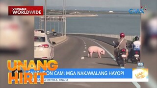 Caught on Cam— Mga nakawalang hayop | Unang Hirit