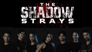 𝚝𝚑𝚎 𝚜𝚑𝚊𝚍𝚘𝚠 𝚜𝚝𝚛𝚊𝚢𝚜 (𝟸𝟶𝟸𝟺)