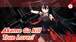 Akame Ga Kill| People who insist on watching it must be true love_2