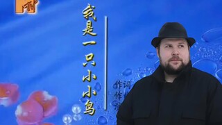 AI Notch：🐤我是一只小小鸟🐤