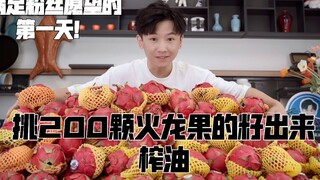 How many seeds can you pick out from 200 dragon fruits? And how much oil can you extract from these 