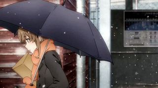 [New animation] The young pig-headed boy will not dream of the bunny girl senior series new producti