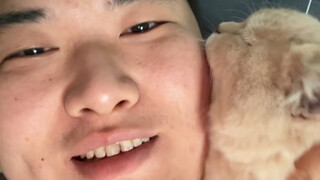 วิธีฝึกแมวน้อย บทสอนมาแล้ว