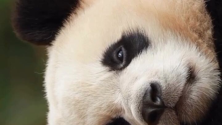 Gusto ko sana gumising Sa Katotohanan.😔 kaso inaantok pa Ako😴😑