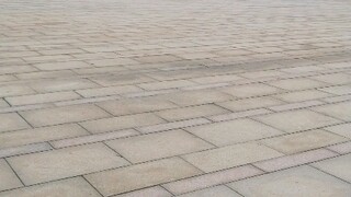 Now the sea spawn has invaded!