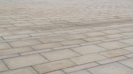 Now the sea spawn has invaded!