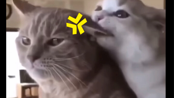 Đây có phải là hình ảnh bạn gái của bạn khi ở nhà không?