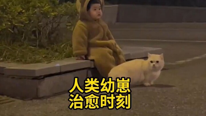 As expected, human babies are the cutest creatures in the world!