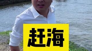 关于《冤种老板带司机赶海》这件事