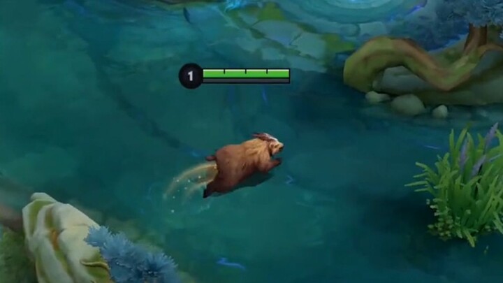 Wild boar vs. tiger, let's open a 19th thread, because I'm the wild boar and he's the wild king.