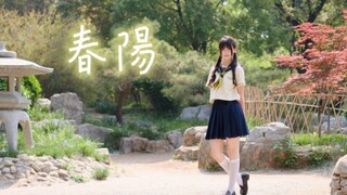 春陽｜神秘之花，沾染下淡薄春意。