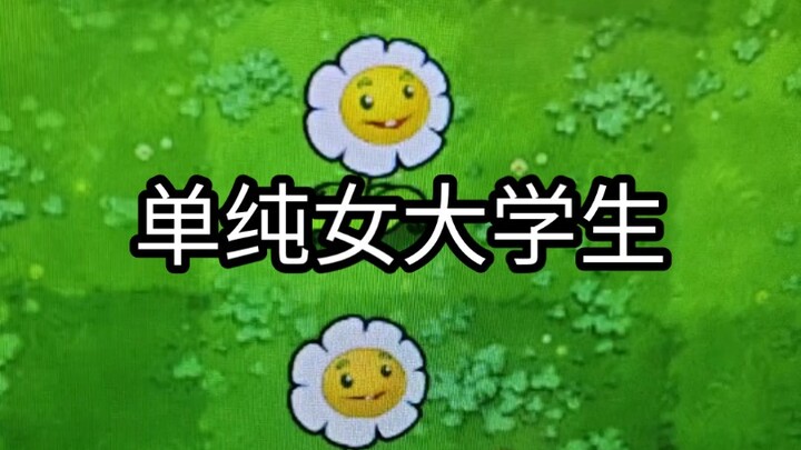 女大之争