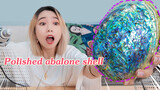 After Grinding the Huge Abalone Shell for 8 Hours