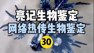 【Liangji Bioassay】Internet Hot Biological Identification 30