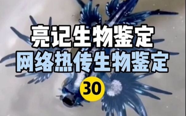 【Liangji Bioassay】Identifikasi Biologis Panas Internet 30