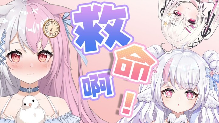 情人节雪狐破产回！