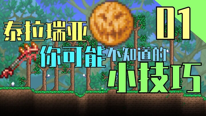 【เทอร์ราเรีย】เคล็ดลับเล็กๆ ที่คุณอาจยังไม่รู้! ตอนที่ 1