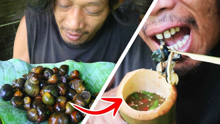 Survival Skills | Berburu dan makan Keong / Tutut rebus di hutan. Makanan Lezat