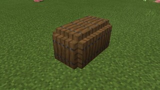 A survival hut that even an 8-year-old can build