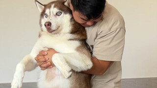 I helped my dog lose weight for four months by only giving him one meal a day. See how much he lost?