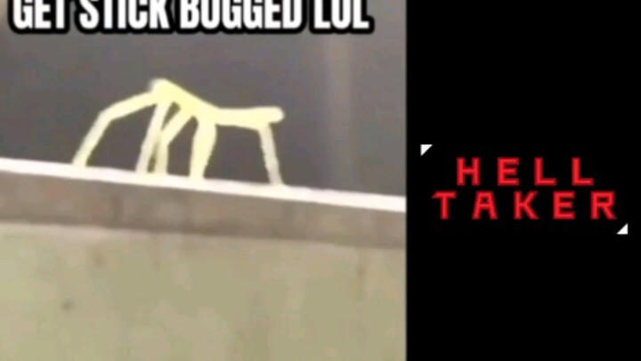 Internet meme - Get stuck bug lol