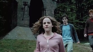 “比起叫你小泥巴种，我更愿意叫你马尔福夫人”德赫yyds #哈利波特41岁生日  #老于给的解药