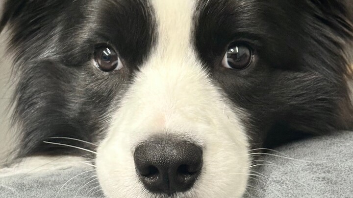 “แม่จ๋า นับถึงเท่าไหร่ถึงจะให้กินคะ/ครับ?!”