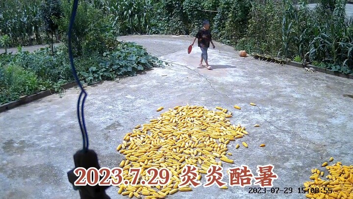 村里熟悉而陌生的事物，才读懂“儿童相见不相识，笑问客从何处来