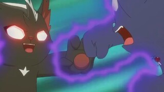我，京剧猫十三宗之首，白糖宗主是也