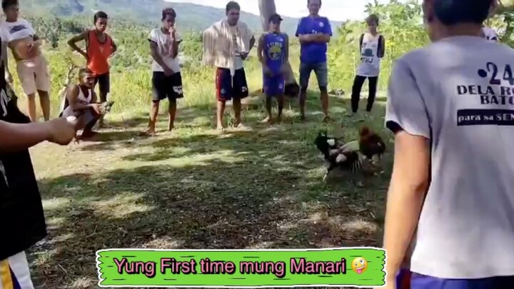 PVO: kana First Time nimu manari nya maka Daug pagyud hahahha abiba tu da max 🤣😂 #Sabong
