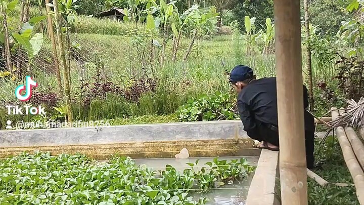 sejuk udara sejuk pendengaran