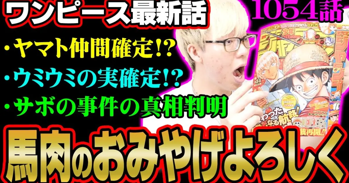 伏線回収しまくりでヤバすぎ シャンクスの目的 サボの新事実 ビビはどうなった ワンピース 1054話 最新話 考察 ジャンプ ネタバレ 注意 Bilibili