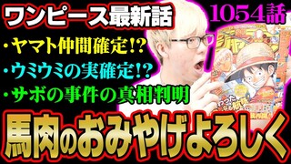 伏線回収しまくりでヤバすぎ！シャンクスの目的、サボの新事実、ビビはどうなった？【 ワンピース 1054話 最新話 考察 】 ※ジャンプ ネタバレ 注意