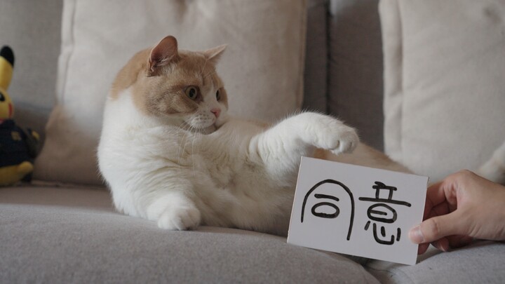 Beberapa cuplikan di video sebelumnya [Mantap!]