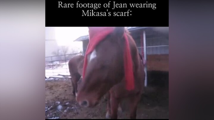 No because it's literally Jean.😭🤣 aotmeme jeankirstein mikasaackerman fyp AttackOnTitan foryoupage 