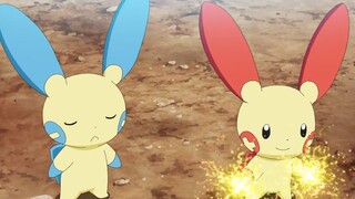 Pokemon Sword and Shield tập 30: Để chúng tôi lo cho thật tròn! Dịch vụ giúp việc Prasle & Minun!