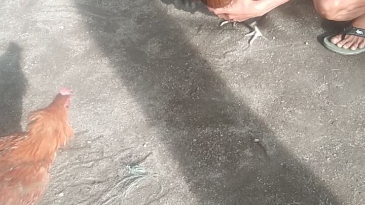 5month old magkapatid