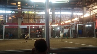 2nd fight win