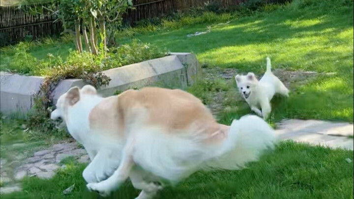 It was such a happy moment, why did sand get into my eyes while I was cutting?