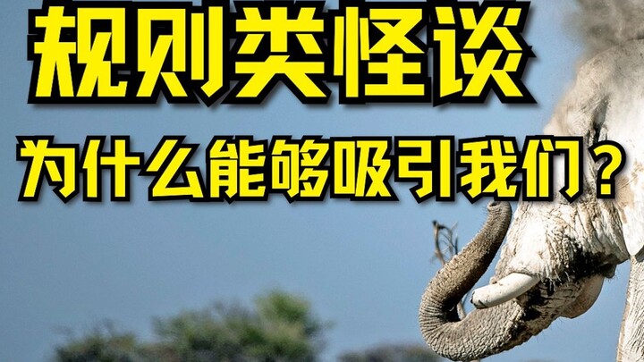 Tại sao những câu chuyện kỳ lạ về luật lệ lại thu hút chúng ta?