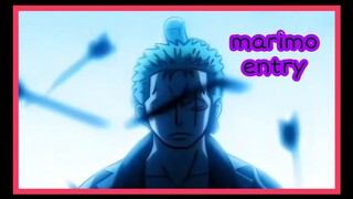 marimo entry .one piece edit