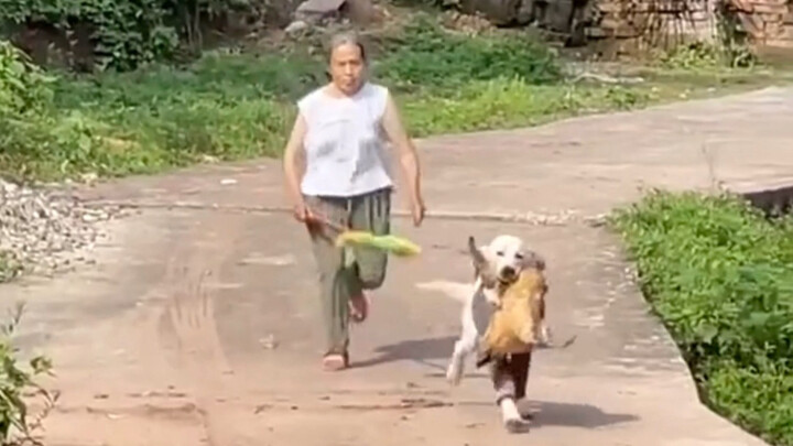 “Strong people never complain about their circumstances.”