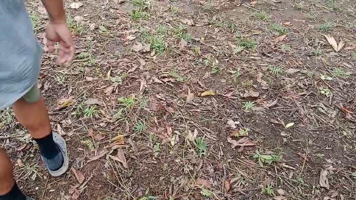 Tagpuan (Win) Talisay