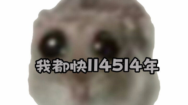 【คส. น้องแมวนมไม่ใช่ขยะ】อัปเดตแล้ว รีบมาดูกันเลย!