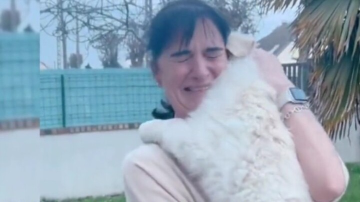 "Tak ada yang bisa menolak anak anjing. Mungkin hanya pemilik anjing yang bisa memahami perasaan ini