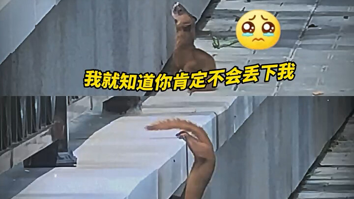 Is this Slender and Chubby brought to life?