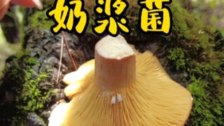 我们称之为路的，其实不过是彷徨