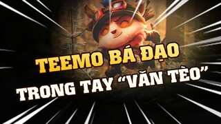 [THROWTHI] Teemo Bá Đạo Như Thế Nào Trong Tay Văn Tèo